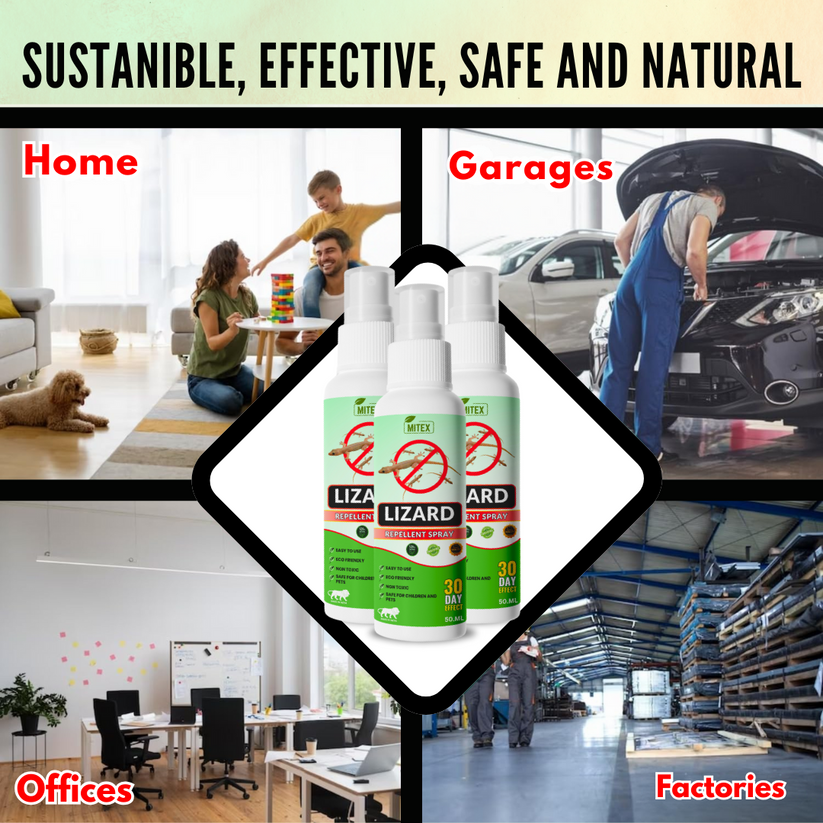 LIZARDGAURD™ - LIZARD REPELLENT SPRAY (BUY 1 GET 2 FREE) (PACK OF 3)